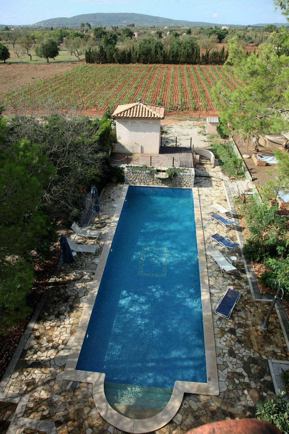 Weingut & Landhotel Can Davero Binissalem Buitenkant foto