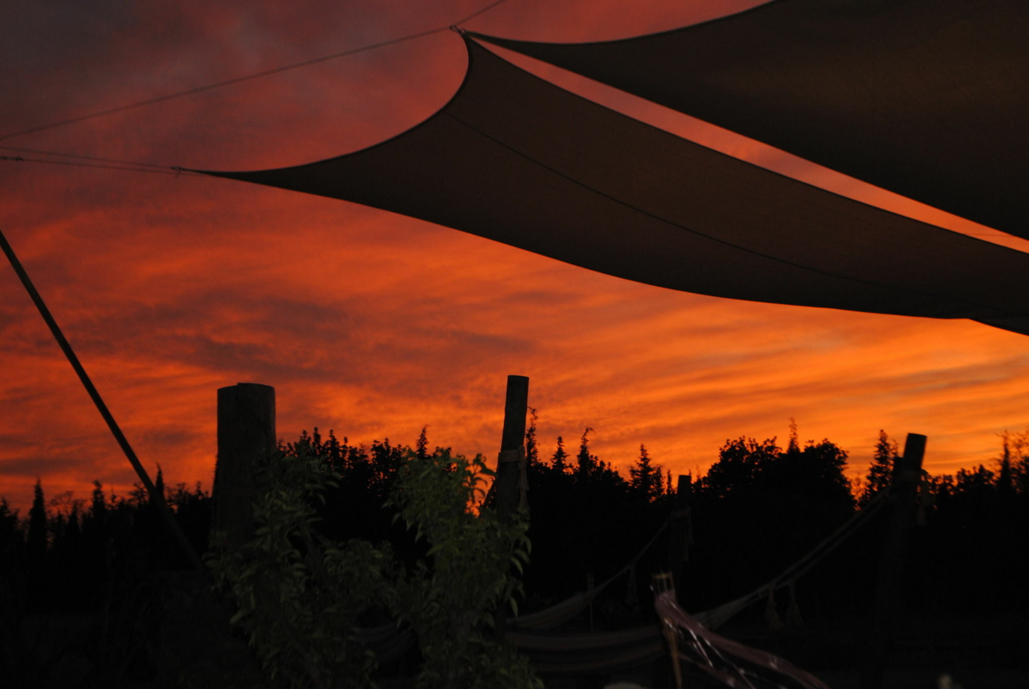Weingut & Landhotel Can Davero Binissalem Buitenkant foto